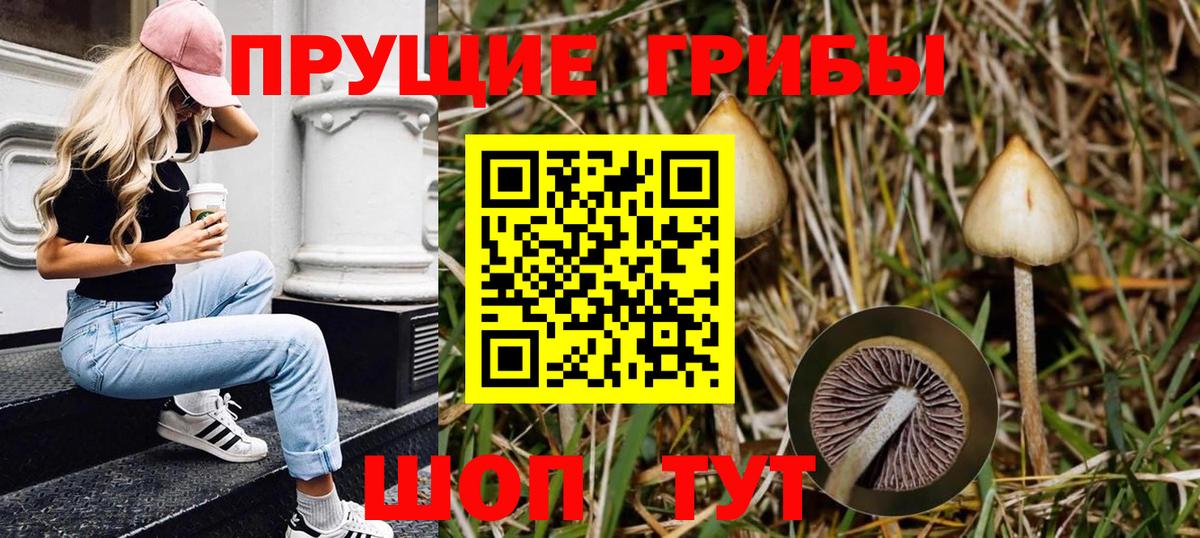 Галлюциногенные грибы прущие грибы Похвистнево