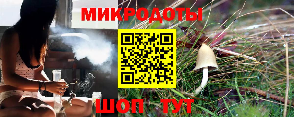 как найти наркотики  Вход с VPN  Похвистнево  Псилоцибиновые грибы Psilocybine cubensis 